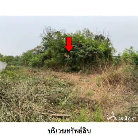 ที่ดินเปล่า เชียงยืน มหาสารคาม 1-1-85ไร่ - 2