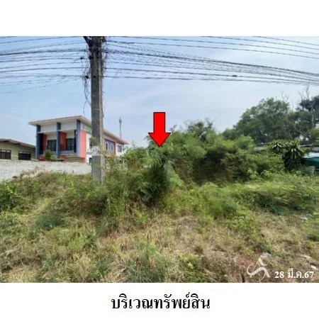 ที่ดินเปล่า เชียงยืน มหาสารคาม 1-1-85ไร่ - 3