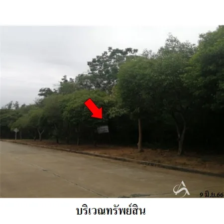 ที่ดินเปล่า ปากท่อ ราชบุรี 3-0-64ไร่ - 4