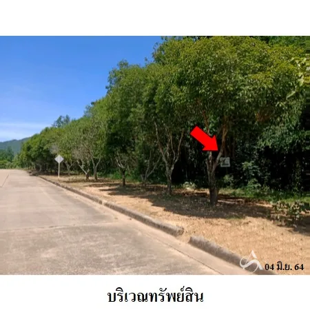 ที่ดินเปล่า ปากท่อ ราชบุรี 3-0-64ไร่ - 5