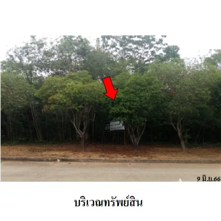 ที่ดินเปล่า ปากท่อ ราชบุรี 3-0-64ไร่ - 6
