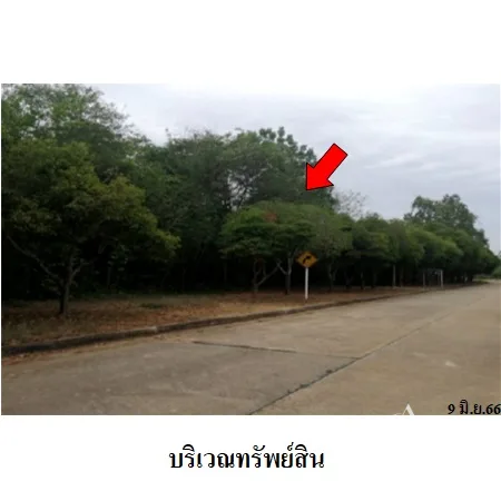 ที่ดินเปล่า ปากท่อ ราชบุรี 3-0-64ไร่