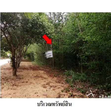 ที่ดินเปล่า ปากท่อ ราชบุรี 3-0-64ไร่ - 7