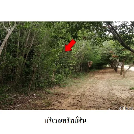 ที่ดินเปล่า ปากท่อ ราชบุรี 3-0-64ไร่ - 8