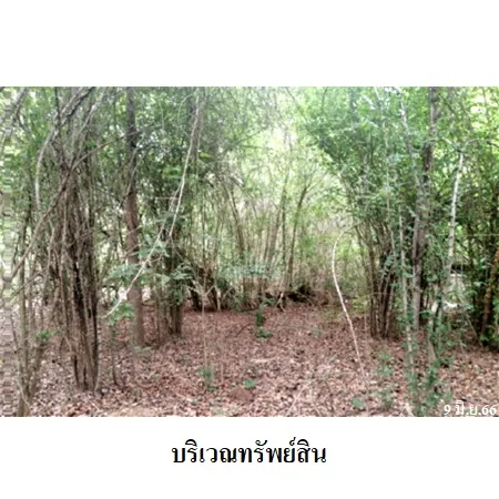 ที่ดินเปล่า ปากท่อ ราชบุรี 3-0-64ไร่ - 9