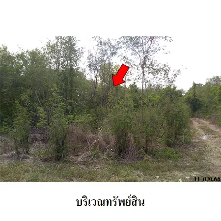 ที่ดินเปล่า ศรีประจันต์ สุพรรณบุรี 7-0-10.5ไร่ - 5