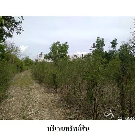 ที่ดินเปล่า ศรีประจันต์ สุพรรณบุรี 7-0-10.5ไร่ - 6