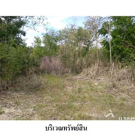 ที่ดินเปล่า ศรีประจันต์ สุพรรณบุรี 7-0-10.5ไร่ - 7