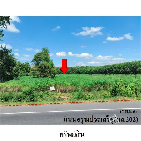 ที่ดินเปล่า เมือง ยโสธร 5-0-0ไร่ - 2