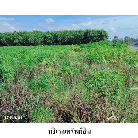 ที่ดินเปล่า เมือง ยโสธร 5-0-0ไร่ - 4