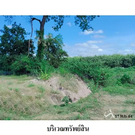 ที่ดินเปล่า เมือง ยโสธร 5-0-0ไร่ - 5