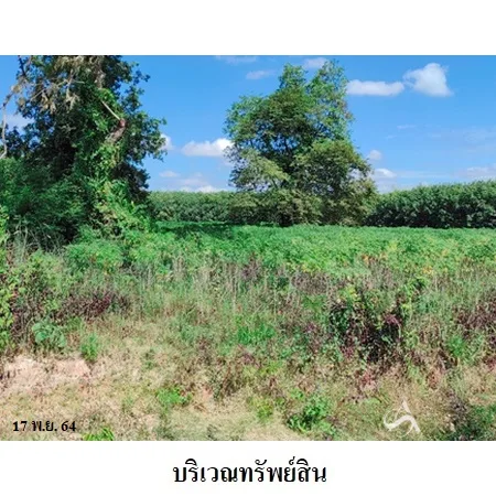 ที่ดินเปล่า เมือง ยโสธร 5-0-0ไร่ - 6