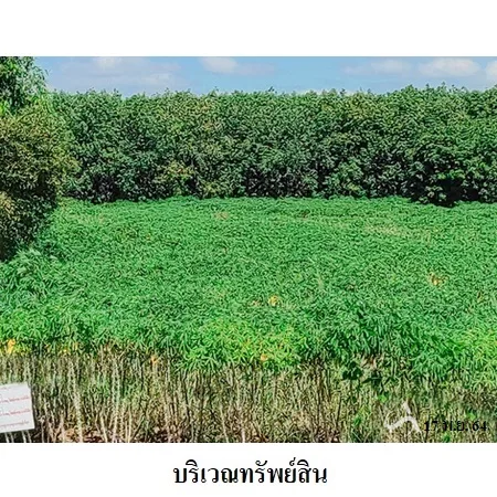 ที่ดินเปล่า เมือง ยโสธร 5-0-0ไร่ - 7