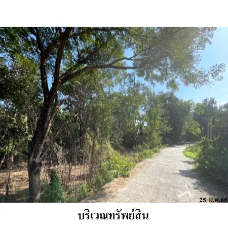 ที่ดินเปล่า เมือง สุพรรณบุรี 4-0-52ไร่ - 3
