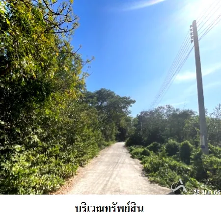 ที่ดินเปล่า เมือง สุพรรณบุรี 4-0-52ไร่ - 4