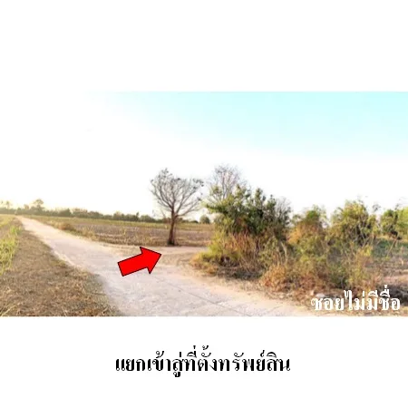 ที่ดินเปล่า โกสุมพิสัย มหาสารคาม 28-2-14ไร่ - 7