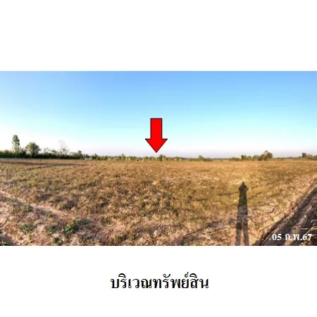 ที่ดินเปล่า โกสุมพิสัย มหาสารคาม 28-2-14ไร่ - 9