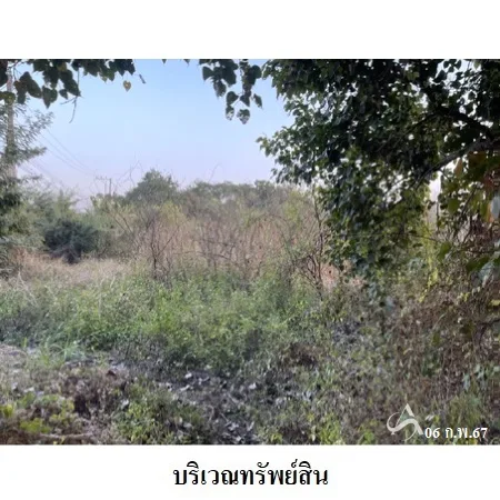 ที่ดินเปล่า ป่าซาง ลำพูน 8-0-22.1ไร่ - 3