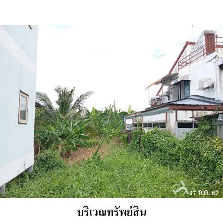 ที่ดินเปล่า ตลิ่งชัน กรุงเทพฯ 0-2-2.5ไร่ - 5