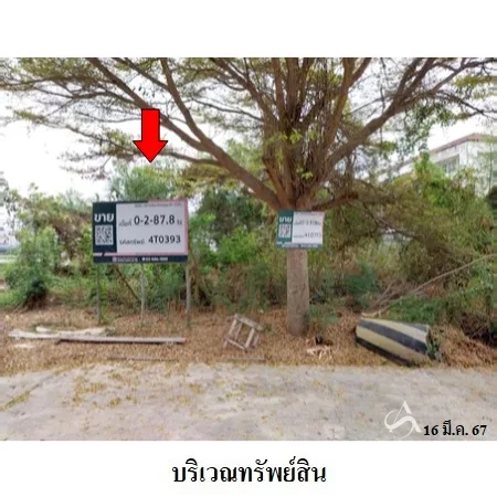 ที่ดินเปล่า บ้านโป่ง ราชบุรี 0-2-87.8ไร่ - 3