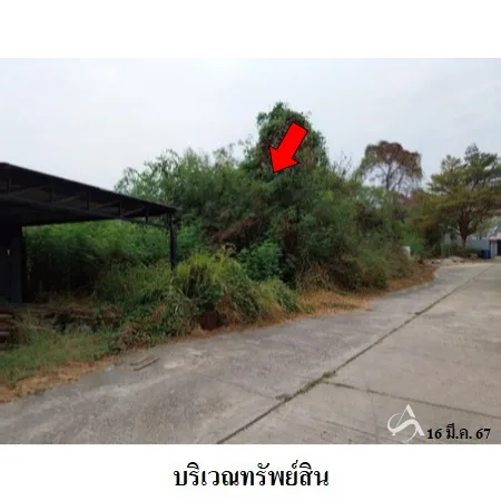 ที่ดินเปล่า บ้านโป่ง ราชบุรี 0-2-87.8ไร่ - 4