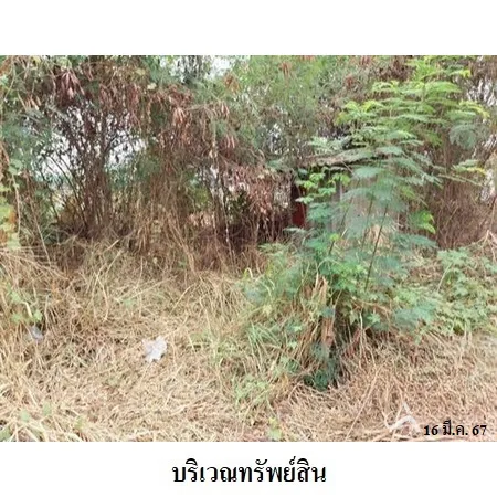 ที่ดินเปล่า บ้านโป่ง ราชบุรี 0-2-87.8ไร่ - 6