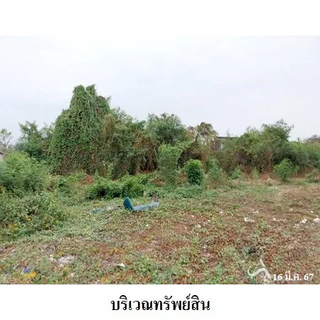 ที่ดินเปล่า บ้านโป่ง ราชบุรี 0-2-87.8ไร่ - 8