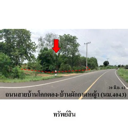 ที่ดินเปล่า ลำปลายมาศ บุรีรัมย์ 16-0-81ไร่ - 4