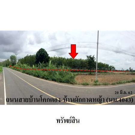 ที่ดินเปล่า ลำปลายมาศ บุรีรัมย์ 16-0-81ไร่