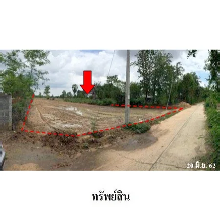 ที่ดินเปล่า ลำปลายมาศ บุรีรัมย์ 16-0-81ไร่ - 5