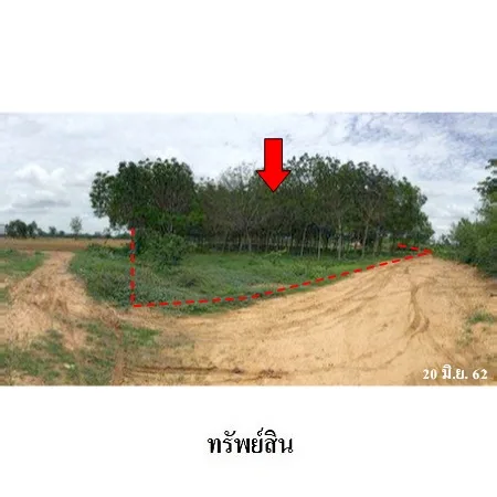 ที่ดินเปล่า ลำปลายมาศ บุรีรัมย์ 16-0-81ไร่ - 7