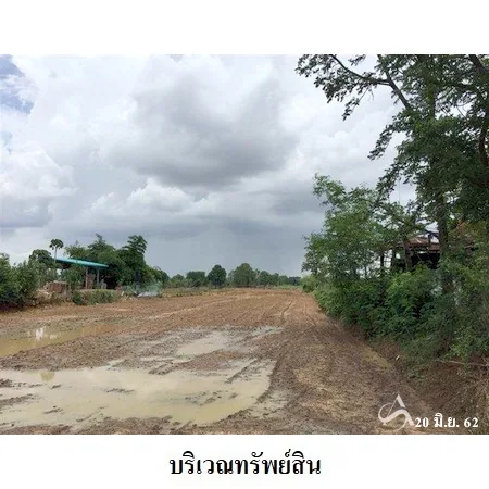 ที่ดินเปล่า ลำปลายมาศ บุรีรัมย์ 16-0-81ไร่ - 9