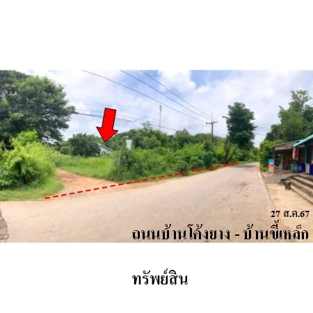 ที่ดินเปล่า เนินสง่า ชัยภูมิ 5-2-93ไร่