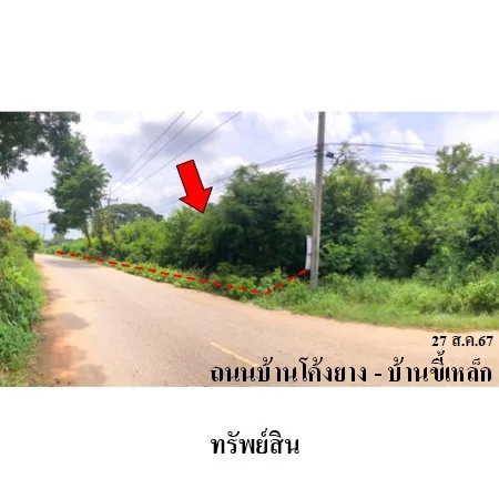 ที่ดินเปล่า เนินสง่า ชัยภูมิ 5-2-93ไร่ - 6