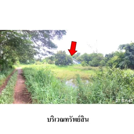 ที่ดินเปล่า เนินสง่า ชัยภูมิ 5-2-93ไร่ - 7