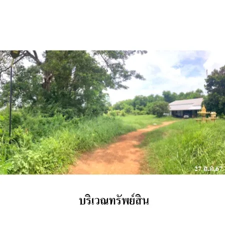 ที่ดินเปล่า เนินสง่า ชัยภูมิ 5-2-93ไร่ - 8