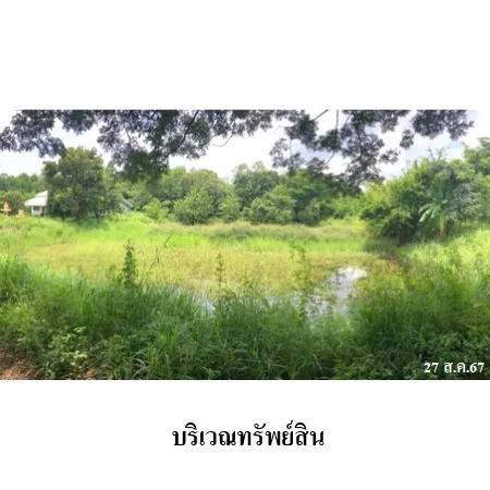 ที่ดินเปล่า เนินสง่า ชัยภูมิ 5-2-93ไร่ - 9