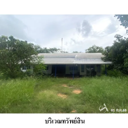 ที่ดินเปล่า เนินสง่า ชัยภูมิ 5-2-93ไร่ - 10