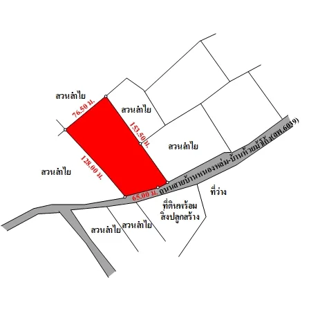 ที่ดิยเปล่า เมือง ลำพูน 5-1-37.5ไร่ - 3