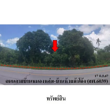 ที่ดิยเปล่า เมือง ลำพูน 5-1-37.5ไร่ - 9