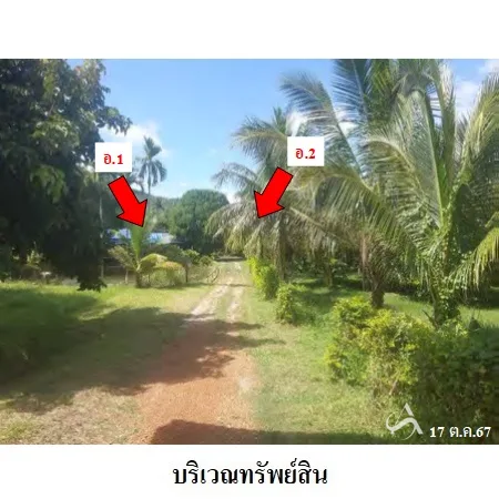 ที่ดิยเปล่า เมือง ลำพูน 5-1-37.5ไร่ - 10