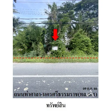 ที่ดินเปล่า ท่าศาลา นครศรีธรรมราช 0-2-48.7ไร่ - 2