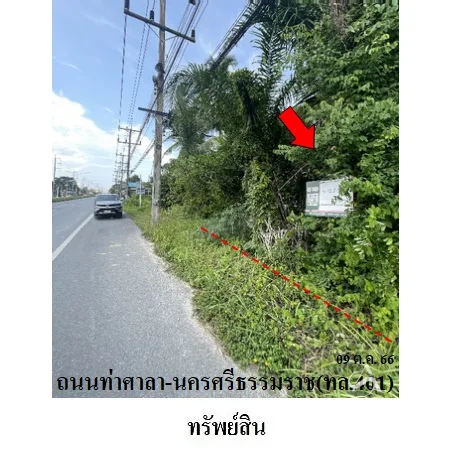 ที่ดินเปล่า ท่าศาลา นครศรีธรรมราช 0-2-48.7ไร่ - 3