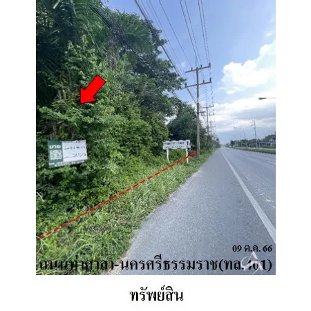 ที่ดินเปล่า ท่าศาลา นครศรีธรรมราช 0-2-48.7ไร่