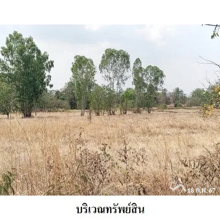ที่ดินเปล่า สีคิ้ว นครราชสีมา 5-1-36.6ไร่ - 2