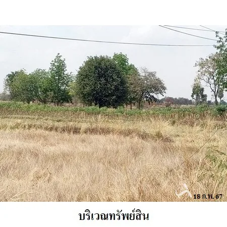 ที่ดินเปล่า สีคิ้ว นครราชสีมา 5-1-36.6ไร่ - 3