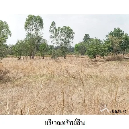 ที่ดินเปล่า สีคิ้ว นครราชสีมา 5-1-36.6ไร่ - 4