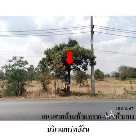 ที่ดินเปล่า สีคิ้ว นครราชสีมา 5-1-36.6ไร่