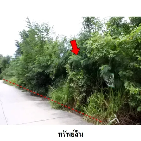 ที่ดินเปล่า เมือง ระยอง 0-2-30ไร่ - 3