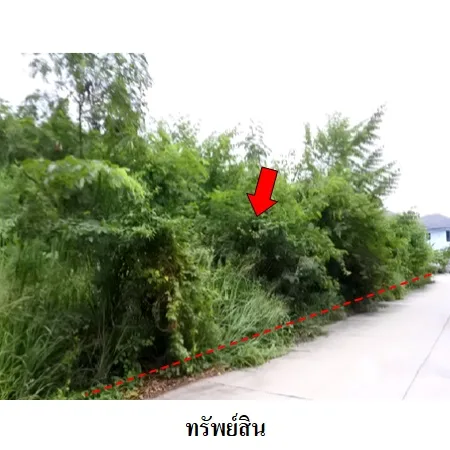 ที่ดินเปล่า เมือง ระยอง 0-2-30ไร่ - 7